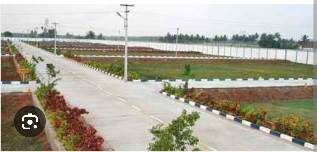 WhatsApp Image 2025-04-03 at 2.04.35 PM (2)