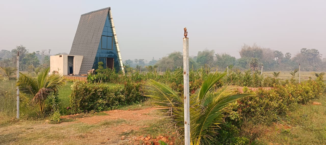 WhatsApp Image 2025-04-03 at 2.07.23 PM