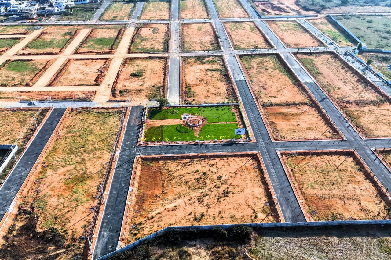 WhatsApp Image 2025-04-03 at 2.17.46 PM