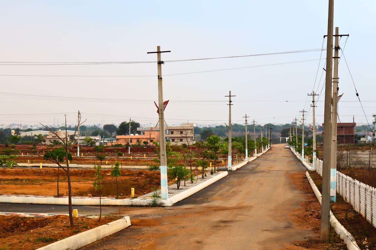 WhatsApp Image 2025-04-03 at 2.17.47 PM (2)