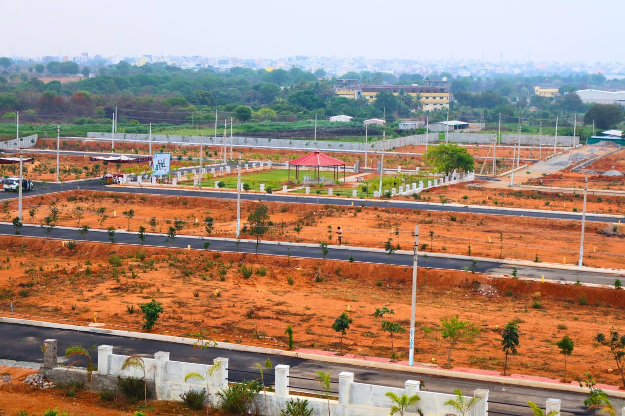 WhatsApp Image 2025-04-03 at 2.17.48 PM (1)