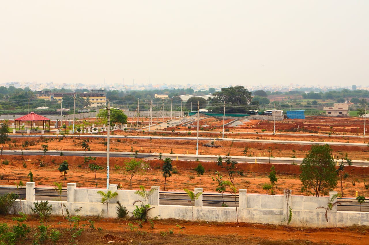 WhatsApp Image 2025-04-03 at 2.17.49 PM