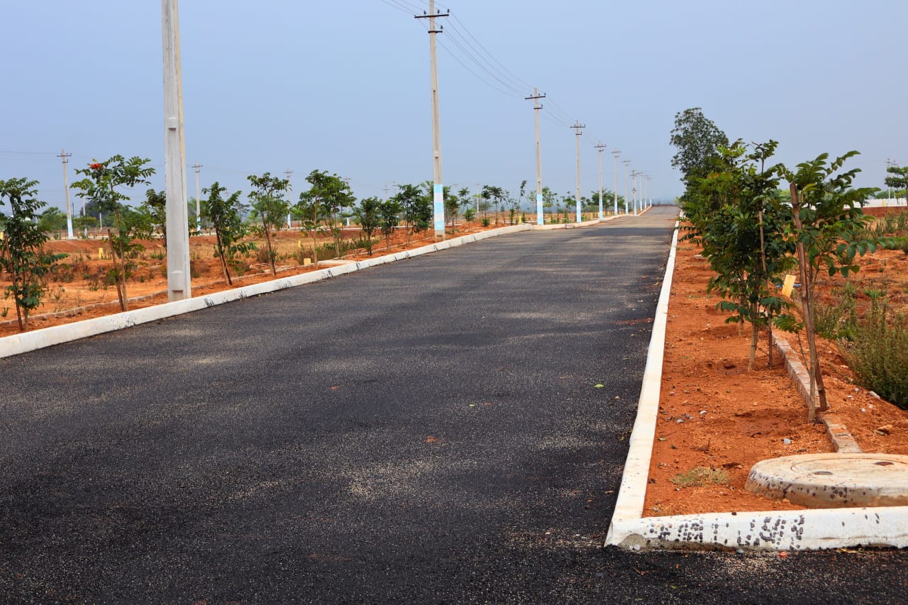 WhatsApp Image 2025-04-03 at 2.17.59 PM (1)