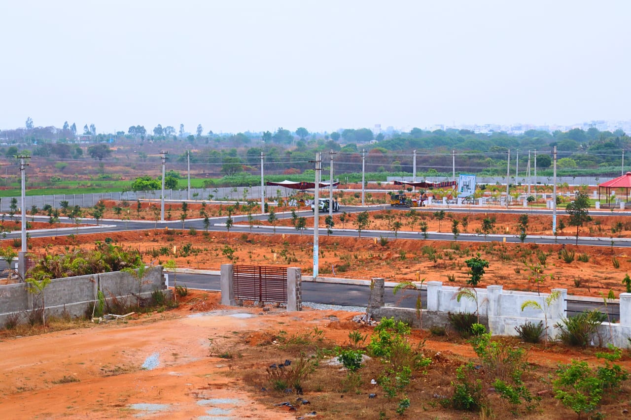 WhatsApp Image 2025-04-03 at 2.17.59 PM