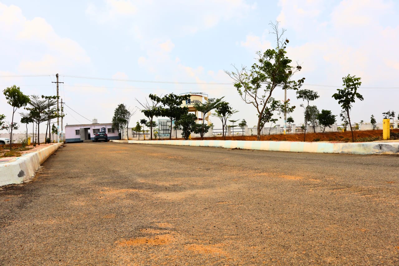 WhatsApp Image 2025-04-03 at 2.18.00 PM (1)