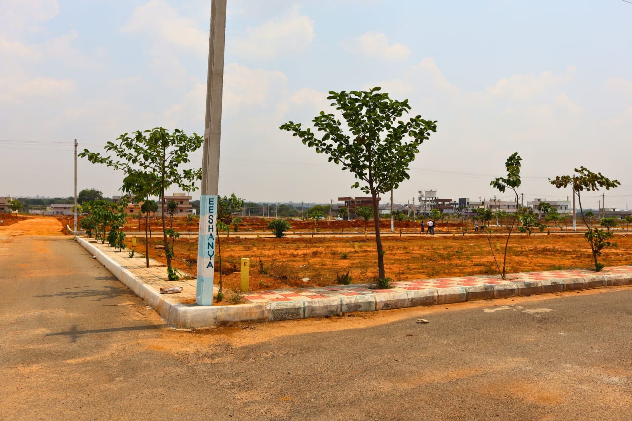 WhatsApp Image 2025-04-03 at 2.18.00 PM (2)