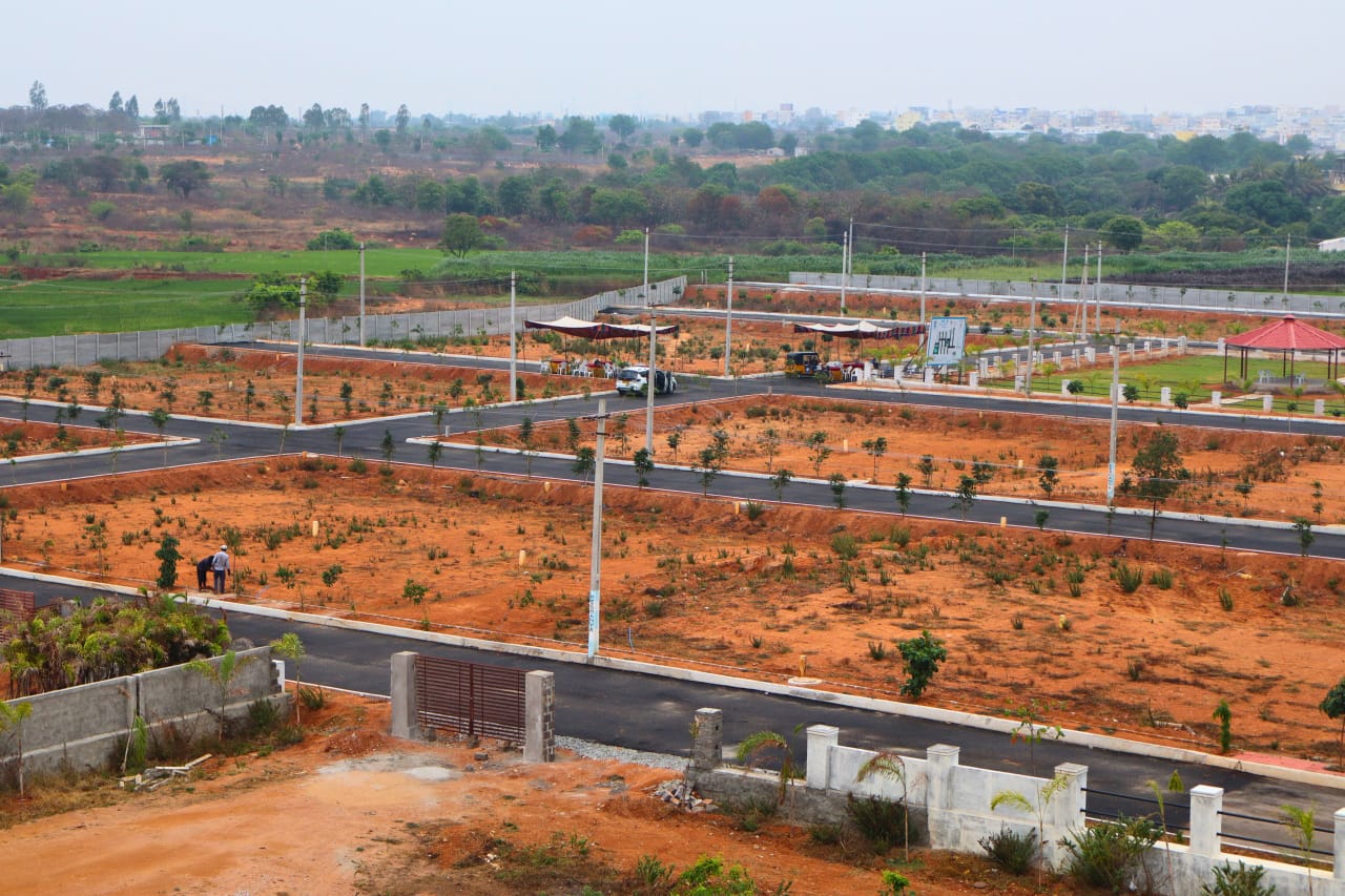 WhatsApp Image 2025-04-03 at 2.18.00 PM (3)