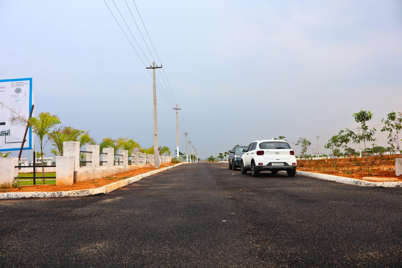 WhatsApp Image 2025-04-03 at 2.18.00 PM