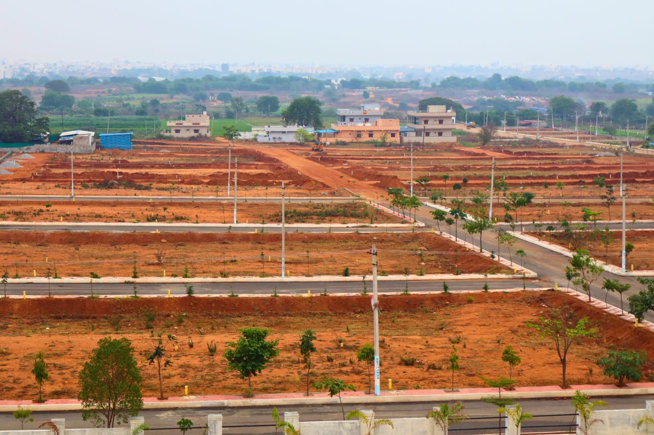 WhatsApp Image 2025-04-03 at 2.18.01 PM (2)