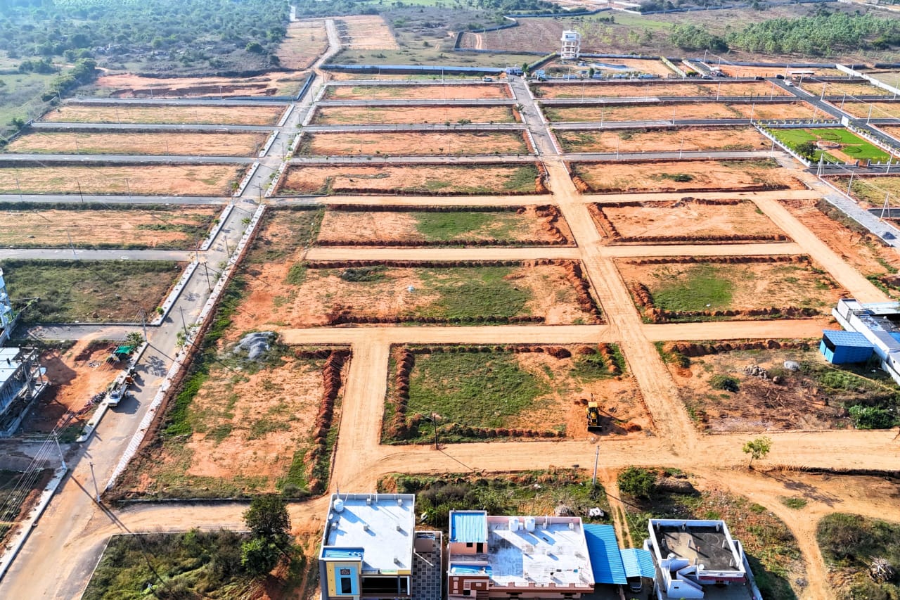 WhatsApp Image 2025-04-03 at 2.18.01 PM